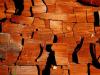 cracked wood